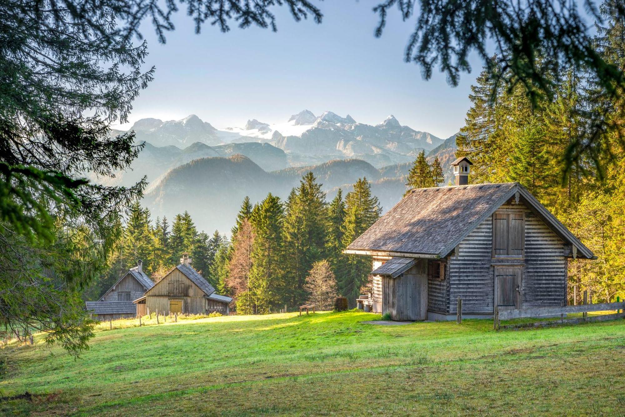 Metzgerwirt Vieh Heli Hotel Bad Goisern Bagian luar foto